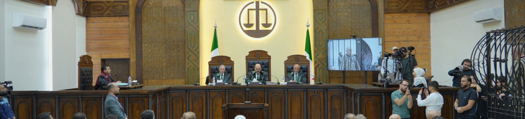 المساءلة الجنائية